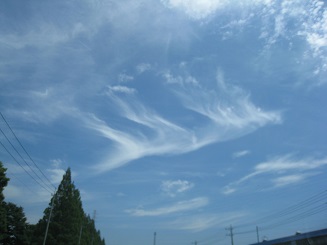 ���b�N�V�b�v�E�J���^�[�r��