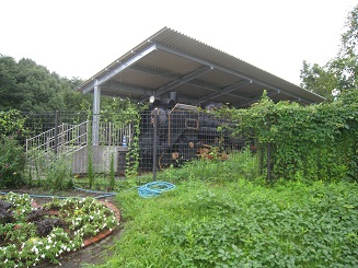 ���b�N�V�b�v�E�J���^�[�r��