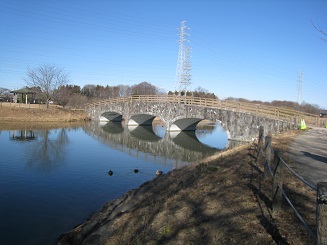 ���b�N�V�b�v�E�J���^�[�r��