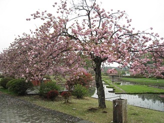 ���b�N�V�b�v�E�J���^�[�r��