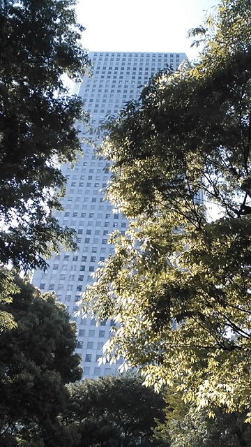 ���b�N�V�b�v�E�J���^�[�r��