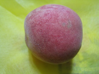 ���b�N�V�b�v�E�J���^�[�r��