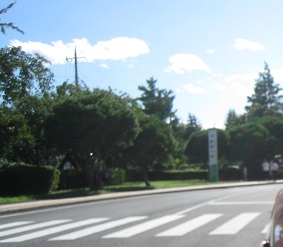 ���b�N�V�b�v�E�J���^�[�r��