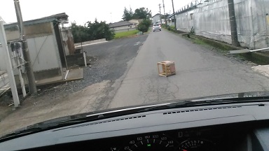 ���b�N�V�b�v�E�J���^�[�r��