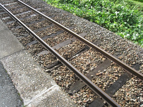 ���b�N�V�b�v�E�J���^�[�r��