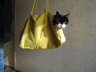 ���b�N�V�b�v�E�J���^�[�r��