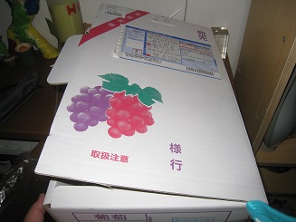 ���b�N�V�b�v�E�J���^�[�r��