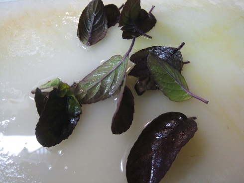 ���b�N�V�b�v�E�J���^�[�r��