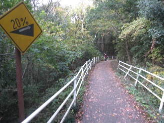 ���b�N�V�b�v�E�J���^�[�r��