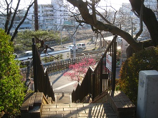 ���b�N�V�b�v�E�J���^�[�r��