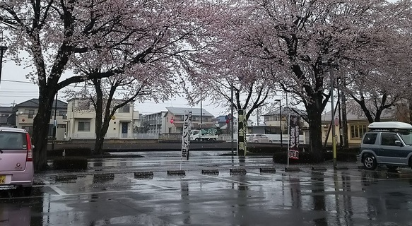 ���b�N�V�b�v�E�J���^�[�r��