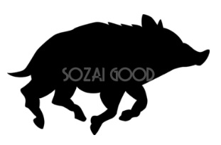 ���b�N�V�b�v�E�J���^�[�r��