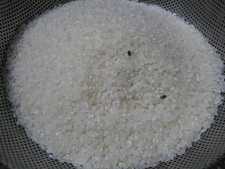 ���b�N�V�b�v�E�J���^�[�r��