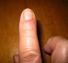 ���b�N�V�b�v�E�J���^�[�r��