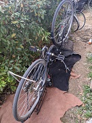 ���b�N�V�b�v�E�J���^�[�r��