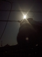 ���b�N�V�b�v�E�J���^�[�r��