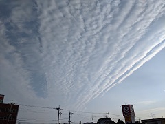 ���b�N�V�b�v�E�J���^�[�r��