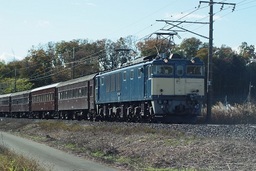 ���b�N�V�b�v�E�J���^�[�r��