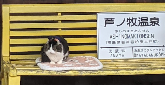 ���b�N�V�b�v�E�J���^�[�r��