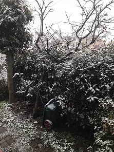 ���b�N�V�b�v�E�J���^�[�r��