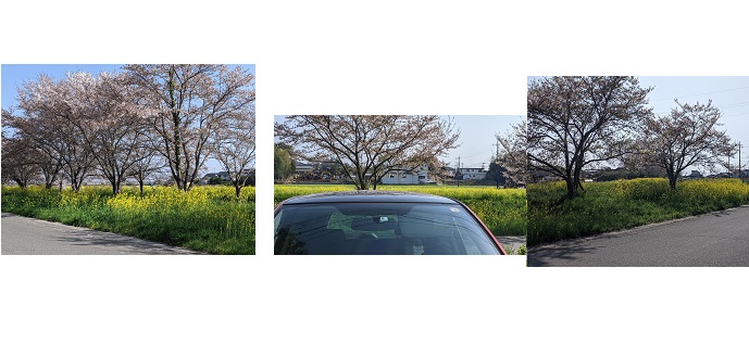 ���b�N�V�b�v�E�J���^�[�r��