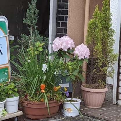 ���b�N�V�b�v�E�J���^�[�r��