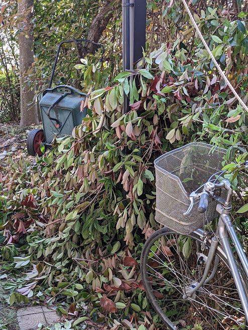 ���b�N�V�b�v�E�J���^�[�r��