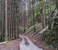 ���b�N�V�b�v�E�J���^�[�r��