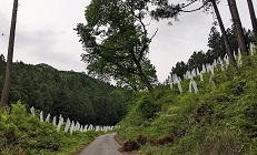 ���b�N�V�b�v�E�J���^�[�r��