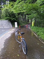 ���b�N�V�b�v�E�J���^�[�r��