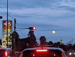 ���b�N�V�b�v�E�J���^�[�r��