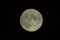 ���b�N�V�b�v�E�J���^�[�r��