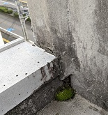 ���b�N�V�b�v�E�J���^�[�r��