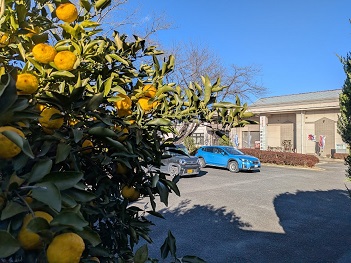 ���N���u�܊p�S�}�v��q�̂���i���b�N�V�b�v�E�J���^�[�r���j