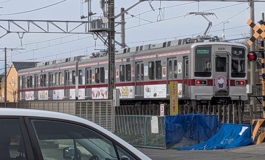 �u���̂܂�v�d�ԁi���b�N�V�b�v�E�J���^�[�r���j