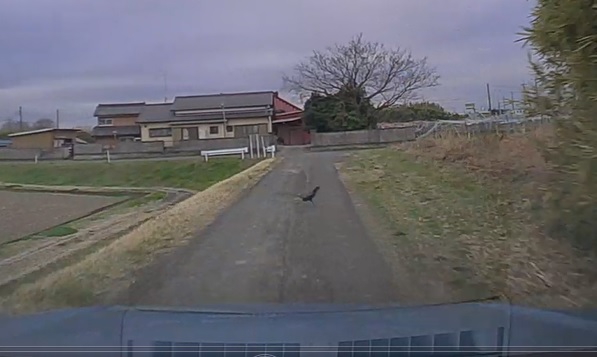 �c�����Ǝv�����⥥��i���b�N�V�b�v�E�J���^�[�r���j