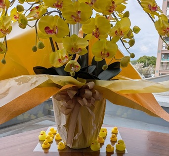 ������������a�@�̐H���Ńp�X�^�I�i���b�N�V�b�v�E�J���^�[�r���j