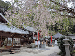 �����R�_�Ђɂ���Q��i���b�N�V�b�v�E�J���^�[�r���j