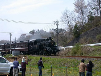 ���b�N�V�b�v�E�J���^�[�r��