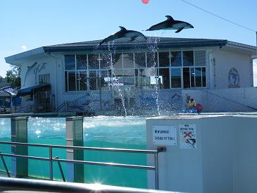 ���b�N�V�b�v�E�J���^�[�r��