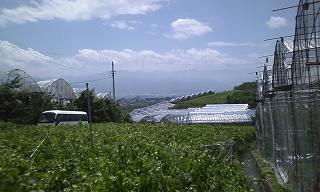 ���b�N�V�b�v�E�J���^�[�r��