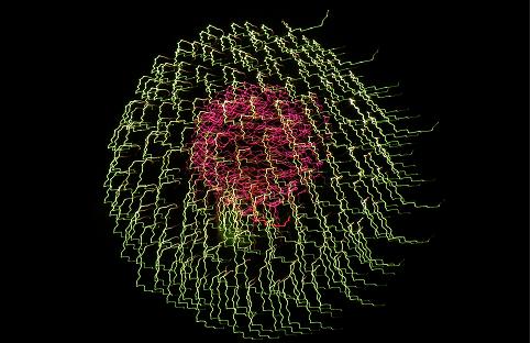 ���b�N�V�b�v�E�J���^�[�r��