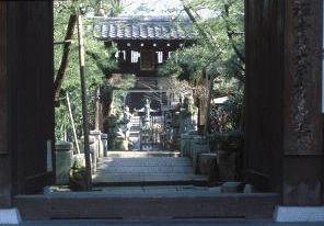 ���b�N�V�b�v�E�J���^�[�r��