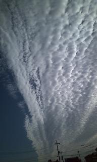 ���b�N�V�b�v�E�J���^�[�r��