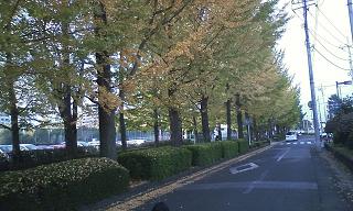 ���b�N�V�b�v�E�J���^�[�r��