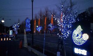 ���b�N�V�b�v�E�J���^�[�r��