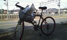 ���b�N�V�b�v�E�J���^�[�r��