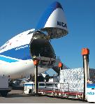 ���b�N�V�b�v�E�J���^�[�r��