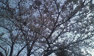 ���b�N�V�b�v�E�J���^�[�r��