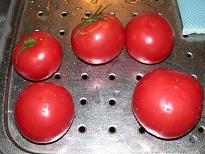 ���b�N�V�b�v�E�J���^�[�r��